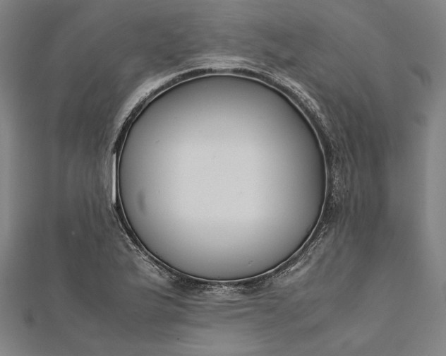 X0000112171175200908211419