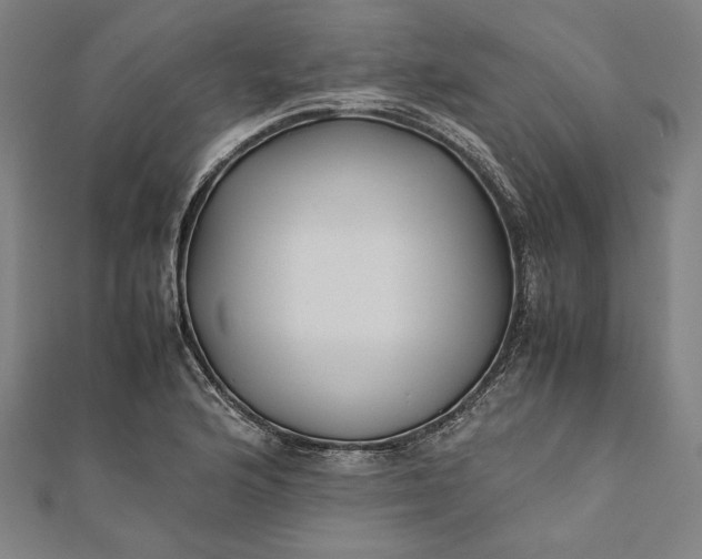 X0000112171176200908211419