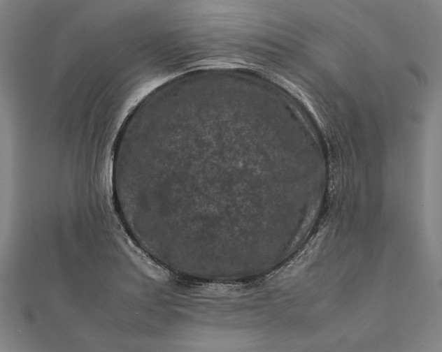 X0000112171179200908211419