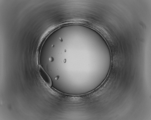 X0000112171180200908211419