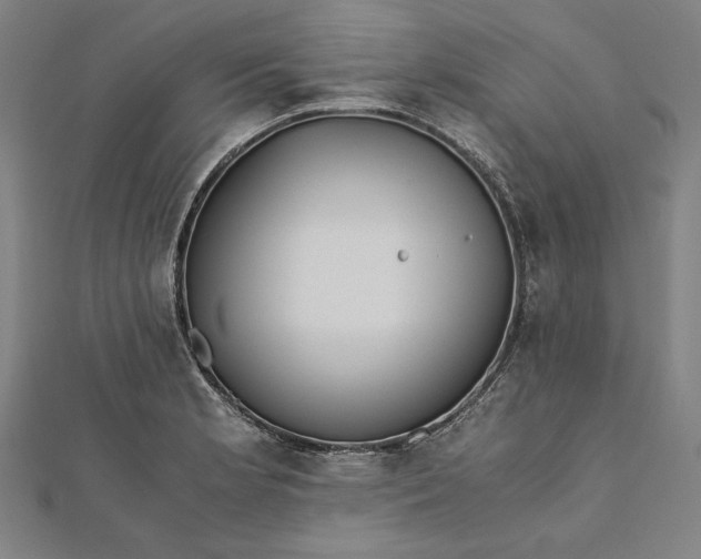 X0000112171181200908211419