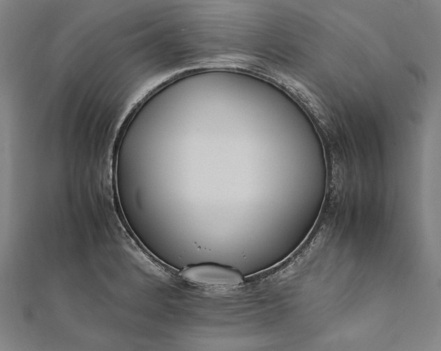 X0000112171184200908211419