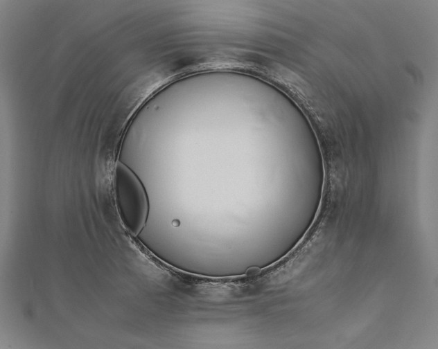 X0000112171185200908211419