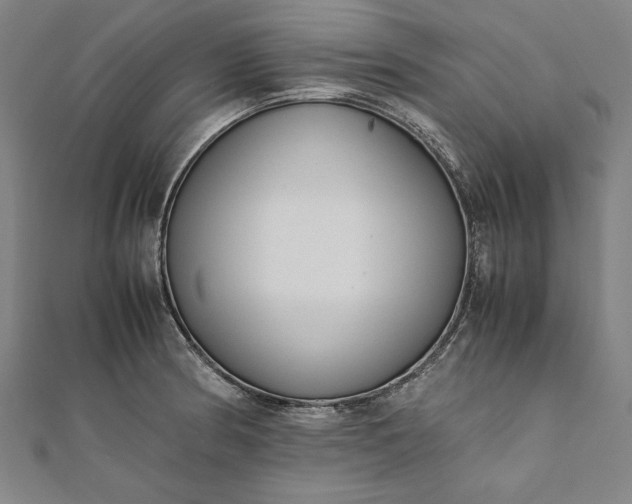 X0000112171186200908211419