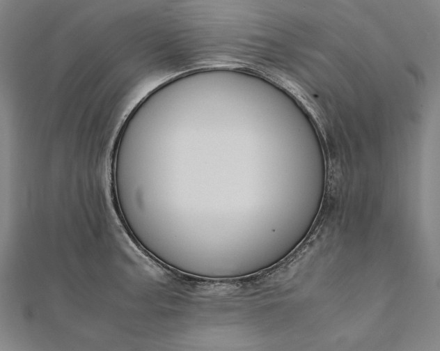 X0000112171187200908211419