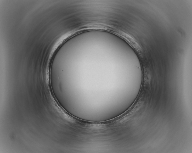 X0000112171188200908211419