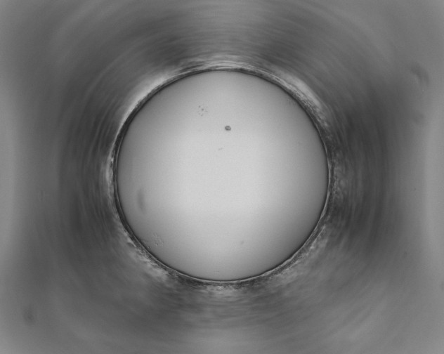 X0000112171190200908211419