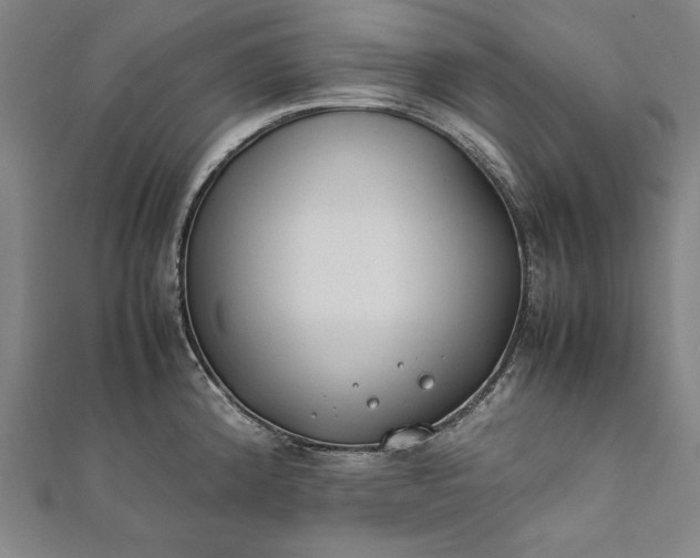 X0000112171192200908211419