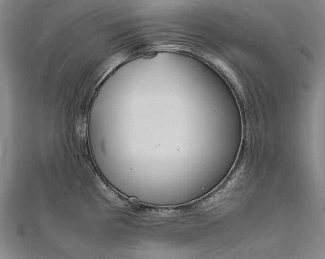 X0000112171193200908211419