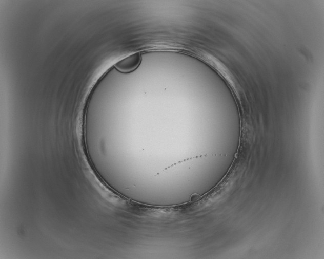 X0000112171195200908211419