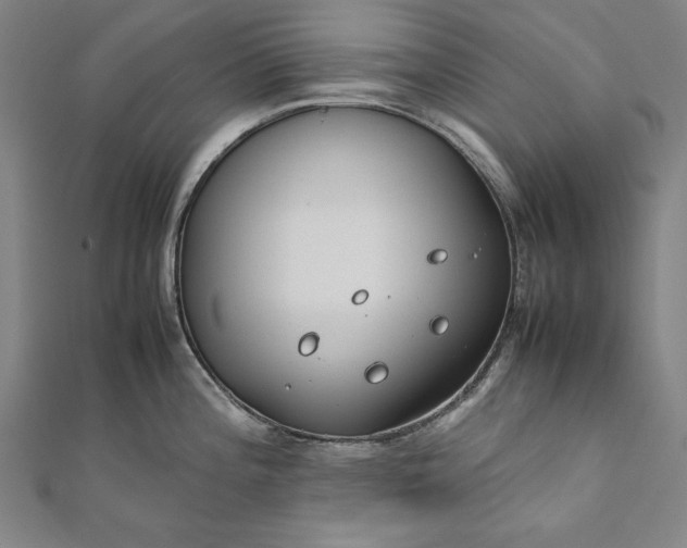 X0000112171196200908211419