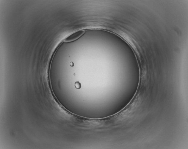 X0000112171197200908211419