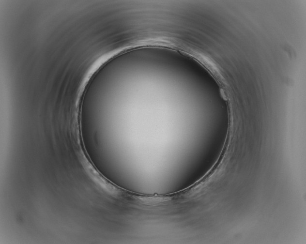 X0000112171200200908211419