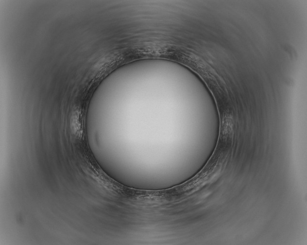 X0000112171202200908211418