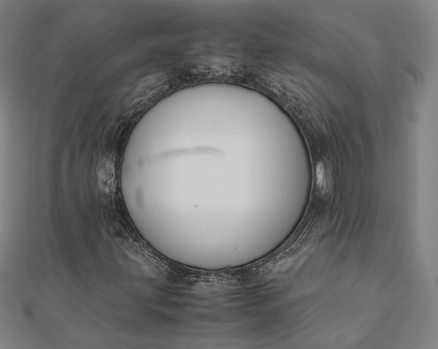 X0000112171203200908211418