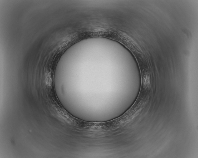 X0000112171204200908211418