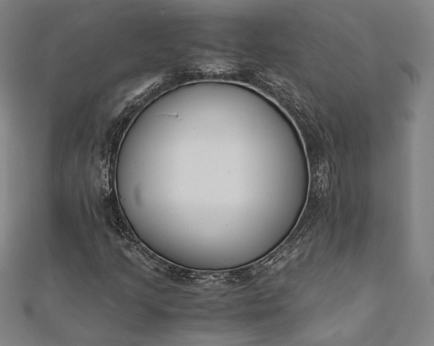 X0000112171205200908211418