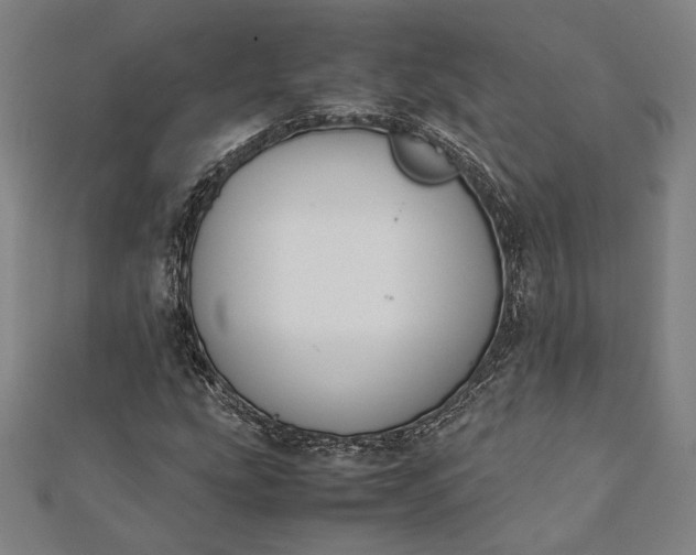 X0000112171207200908211418