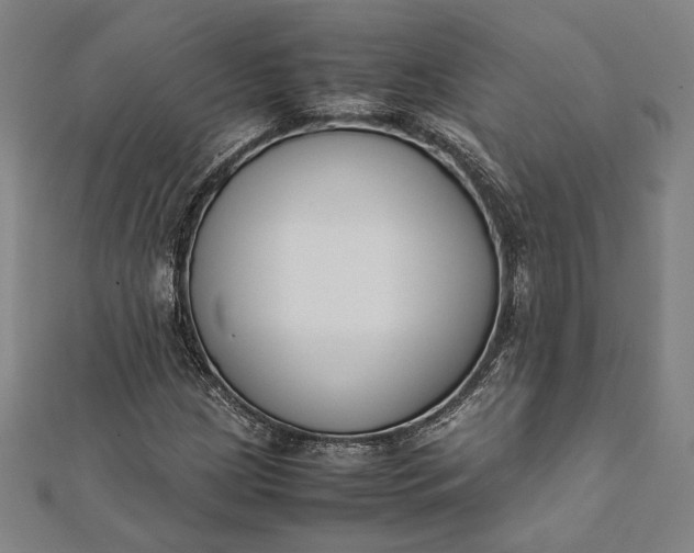 X0000112171209200908211418