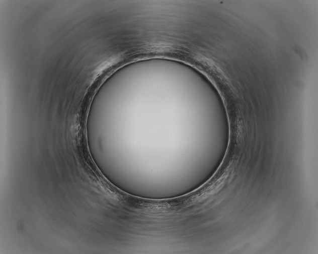 X0000112171210200908211418