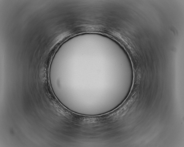 X0000112171211200908211418