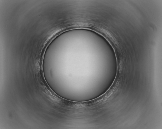 X0000112171212200908211418