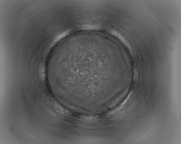 X0000112171213200908211419