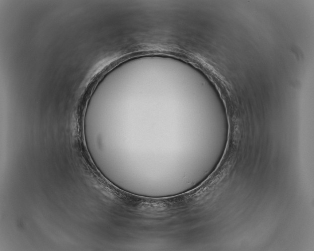 X0000112171215200908211419