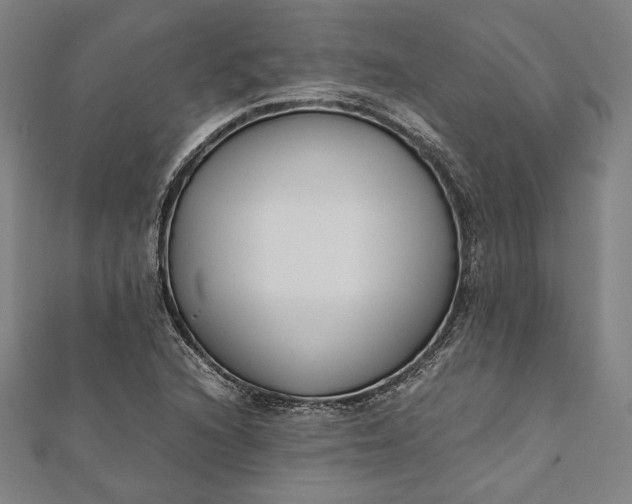 X0000112171216200908211419