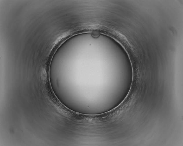 X0000112171218200908211419