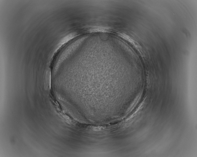 X0000112171219200908211419