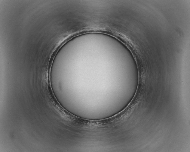 X0000112171220200908211419