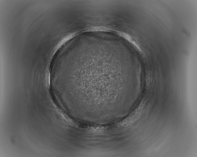 X0000112171221200908211419