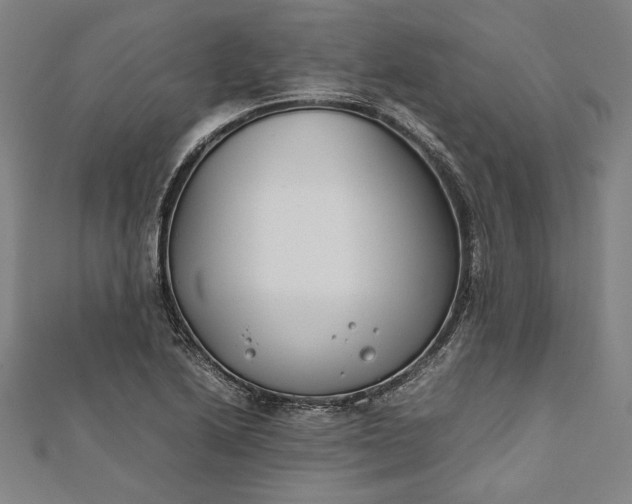 X0000112171222200908211419