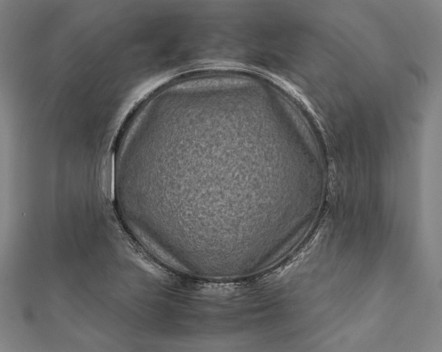 X0000112171223200908211419