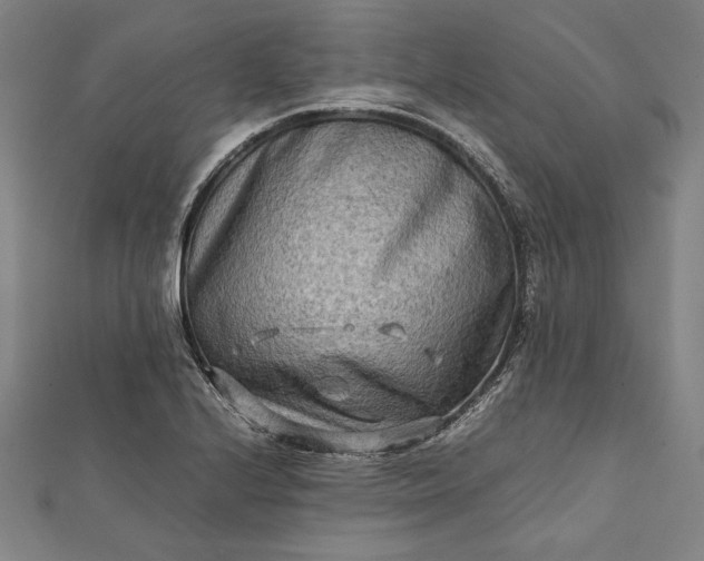 X0000112171224200908211419