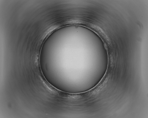 X0000112171225200908211419