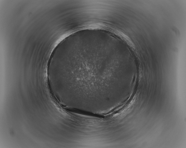 X0000112171226200908211419