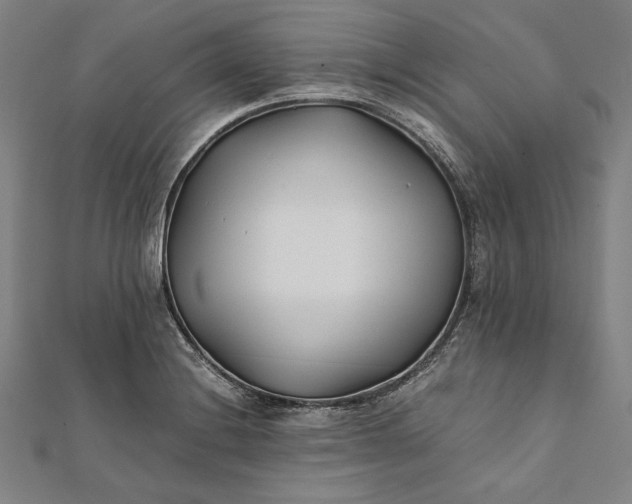 X0000112171228200908211419