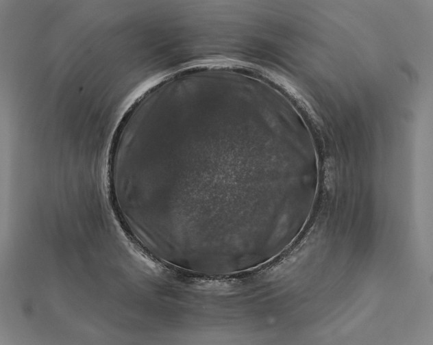 X0000112171229200908211419