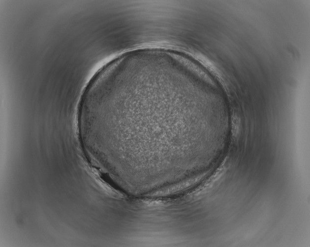 X0000112171230200908211419