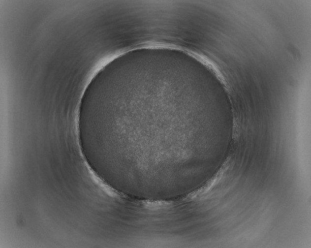 X0000112171231200908211419