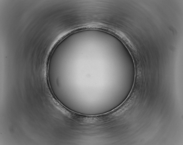 X0000112171232200908211419