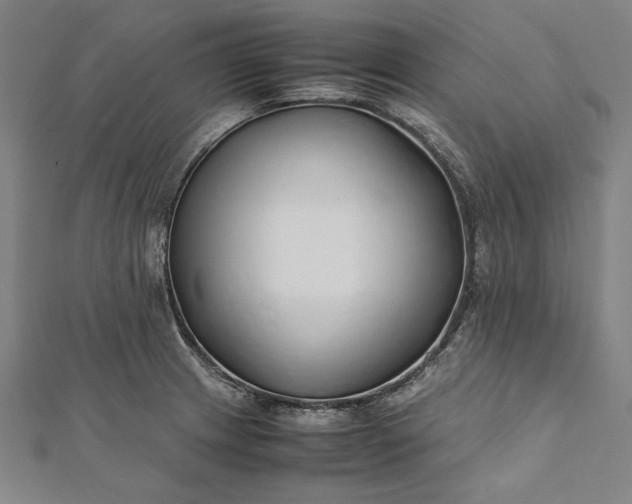 X0000112171233200908211419