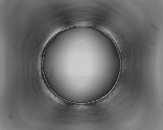 X0000112171235200908211419