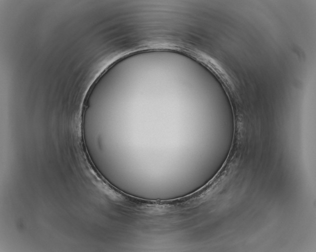 X0000112171236200908211419