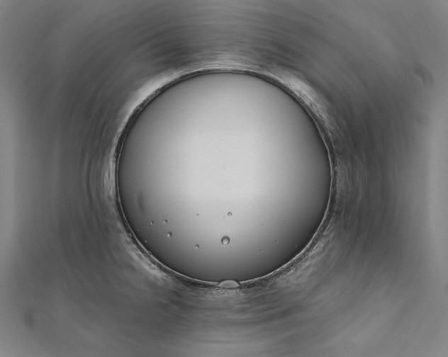 X0000112171238200908211419