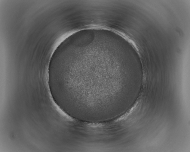 X0000112171239200908211419