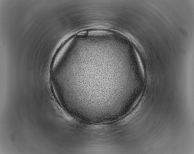 X0000112171240200908211419