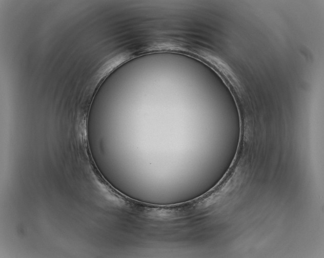 X0000112171241200908211419